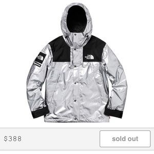 Supreme x The North Face Metallic parka